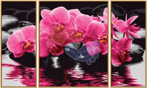 Schipper Триптих Орхидеи - раскраска по номерам, 50х80 см