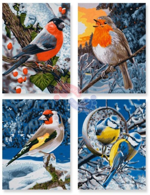 Schipper Раскраска по номерам из 4-х картин Птицы зимой 9340661